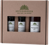 Massagesæt basis 10 ml Lavendel,10ml muskelømhed+100 ml massageolie (Urtegaarden)