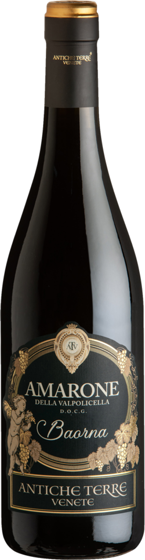 Antiche Terre Amarone