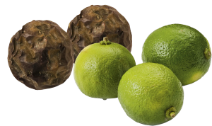 Lime, Passionsfrukt (Brasilien/Colombia)