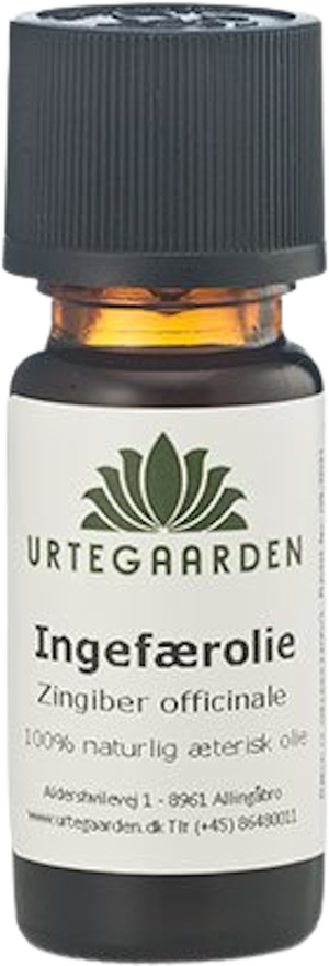 Ingefærolie (Urtegaarden)