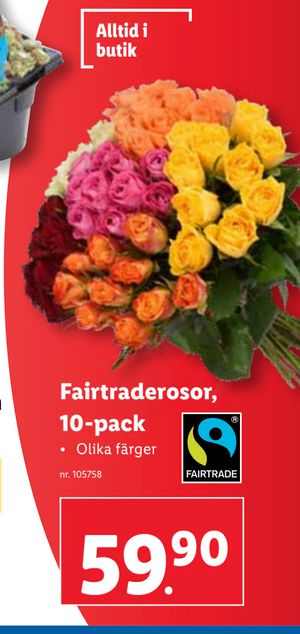 Fairtraderosor, 10-pack
