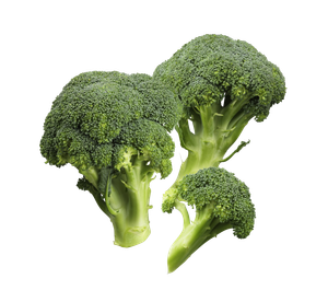 Broccoli (Spanien/Coop)