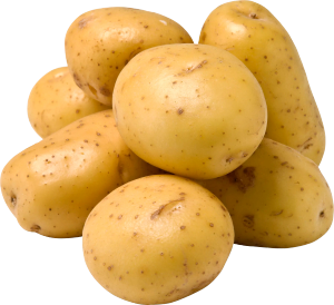 Potatis Mjölig