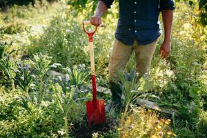 Fiskars Classic spade