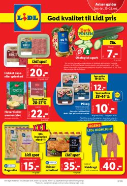 Lidl Tilbudsavis (uge 43)