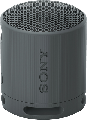 Sony SRS-XB100 trådløs bærbar højttaler (sort)
