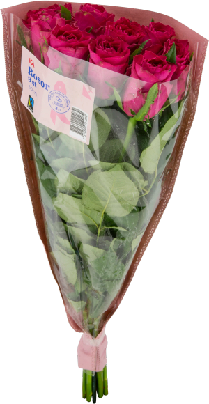 Rosor 9-pack (ICA. Rosa Bandet. Fairtrade)