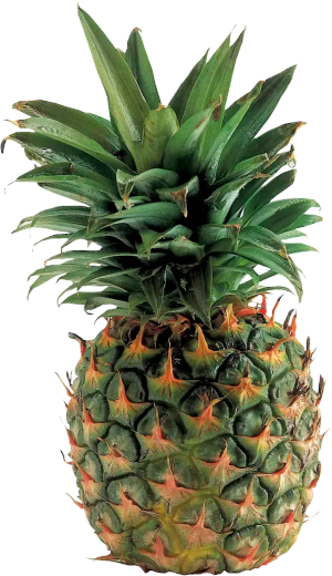 Extra söt ananas (Costa Rica/Elfenbenskusten)