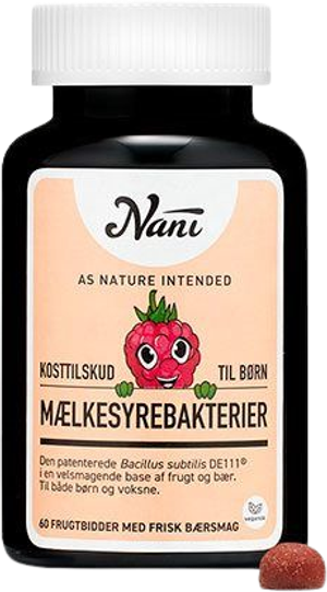 Mælkesyrebakterier (Nani)