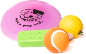 Hundelegetøj mix, 4 stk (frisbee, bold i snor, tennisbold, ispind)