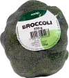 Broccoli (Sverige)