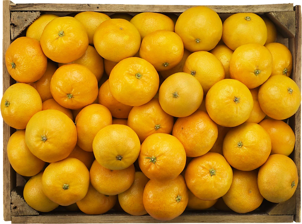 Erbjudanden på Satsumas (Spanien) från Coop X:-TRA för 19,90 kr