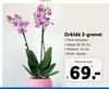 Orkidé 2-grenet