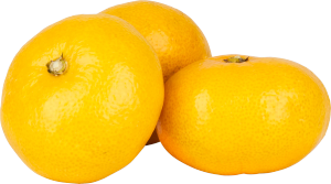 Satsumas (Spanien)