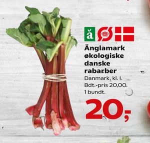 Änglamark økologiske danske rabarber