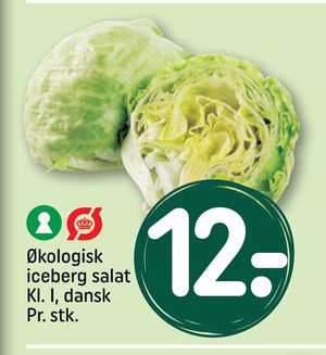 Økologisk iceberg salat Kl. I, dansk