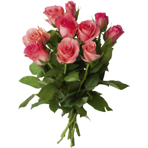 Rosor 10-pack (Blomsterboda)