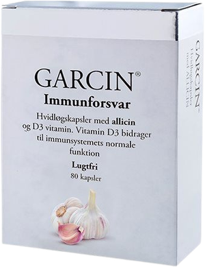 Garcin Hvidløg