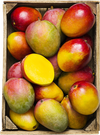 Ätmogen mango (Brasilien/Spanien)