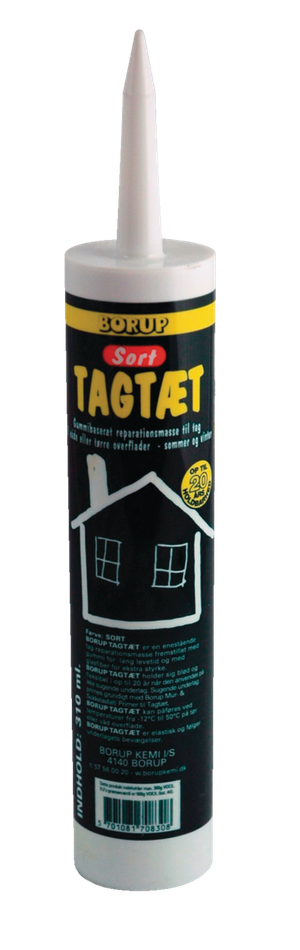 Tagtæt (Borup)