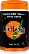 Hyben Vegetabilsk kapsler 500mg (Lito)