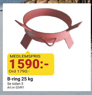 B-ring 25 kg