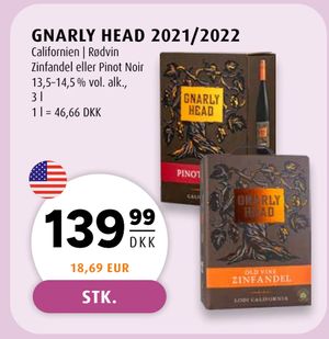 GNARLY HEAD 2021/2022
