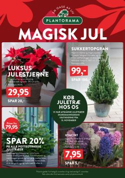 Uge 45: Magisk jul