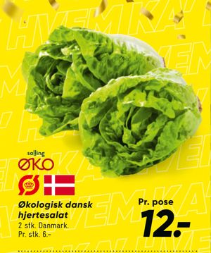 Økologisk dansk hjertesalat