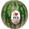 Ekologiska minivattenmeloner