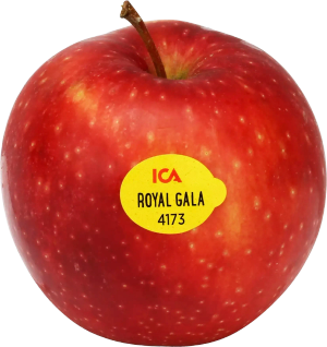 Äpple Royal Gala