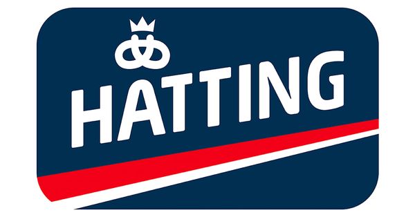 Hatting logo