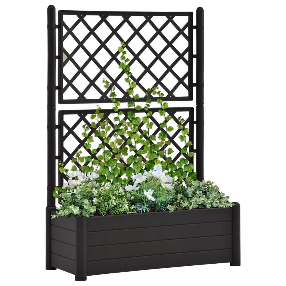 Tilbud på Plantekasse med espalier 100x43x142 cm PP antracitgrå fra Boligcenter.dk til 978 kr.