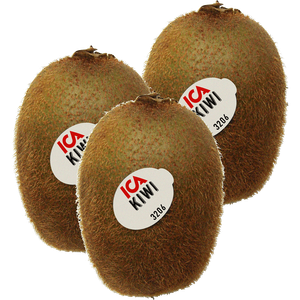 Stor grön kiwi