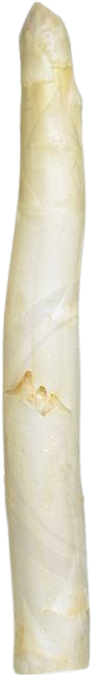 Asparges hvid stor 1 stk. ca. 100 g
