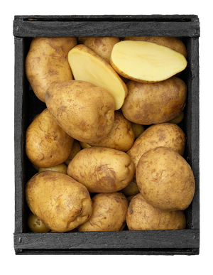 Bakpotatis (Sverige)