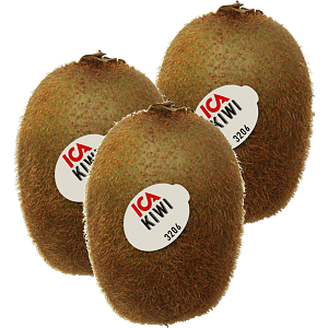 Stor grön kiwi