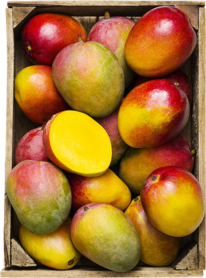 Ätmogen mango (Brasilien/Spanien)