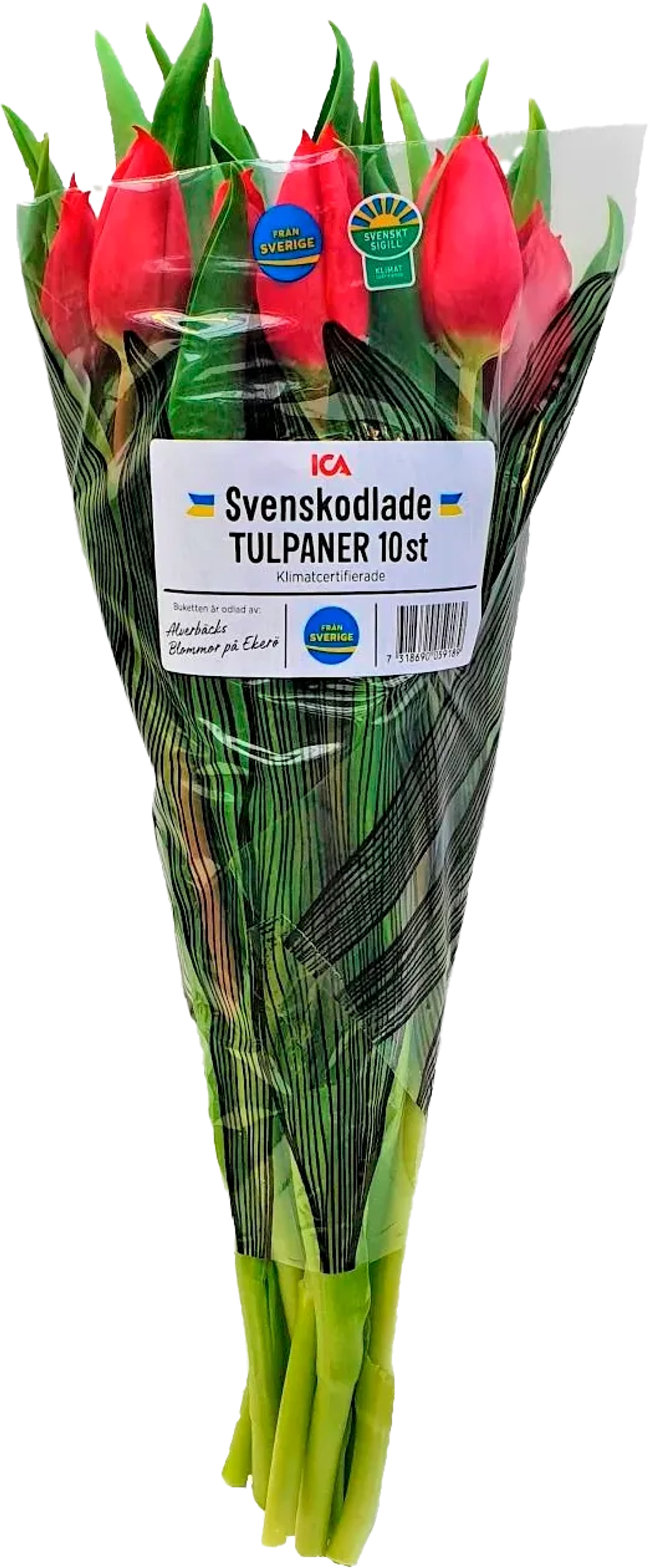 Erbjudanden på Tulpaner 10-pack (ICA) från ICA Nära för 69 kr