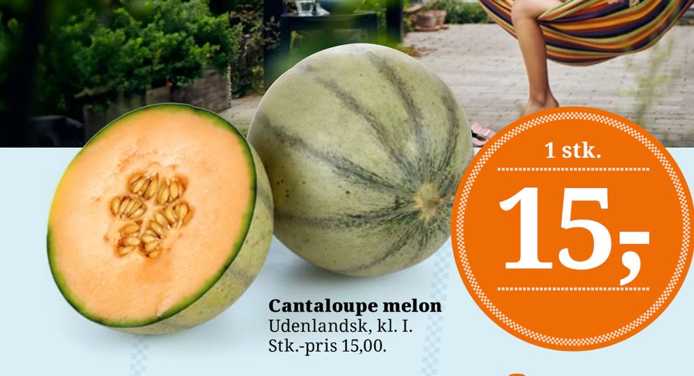 Tilbud på Cantaloupe melon fra Brugsen til 15 kr.