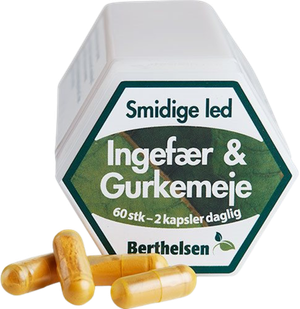 Ingefær & Gurkemeje (Berthelsen)