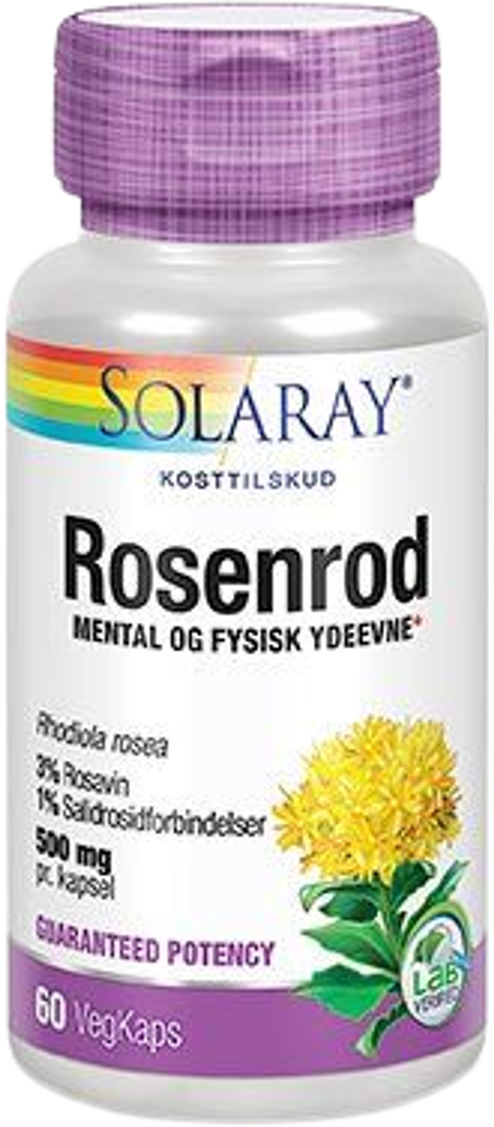 Tilbud på Rosenrod GP Ekstrakt 500 mg (Solaray) fra Helsam til 272 kr.