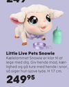 Little Live Pets Snowie