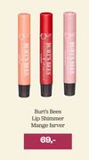 Burt's Bees Lip Shimmer 