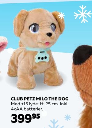 Club petz milo the dog