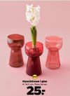 Hyacintvase i glas
