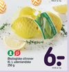 Økologiske citroner Kl. I, udenlandske 250 g