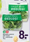 Økologisk salatmix eller rucola Kl. I, udenlandsk 75 g