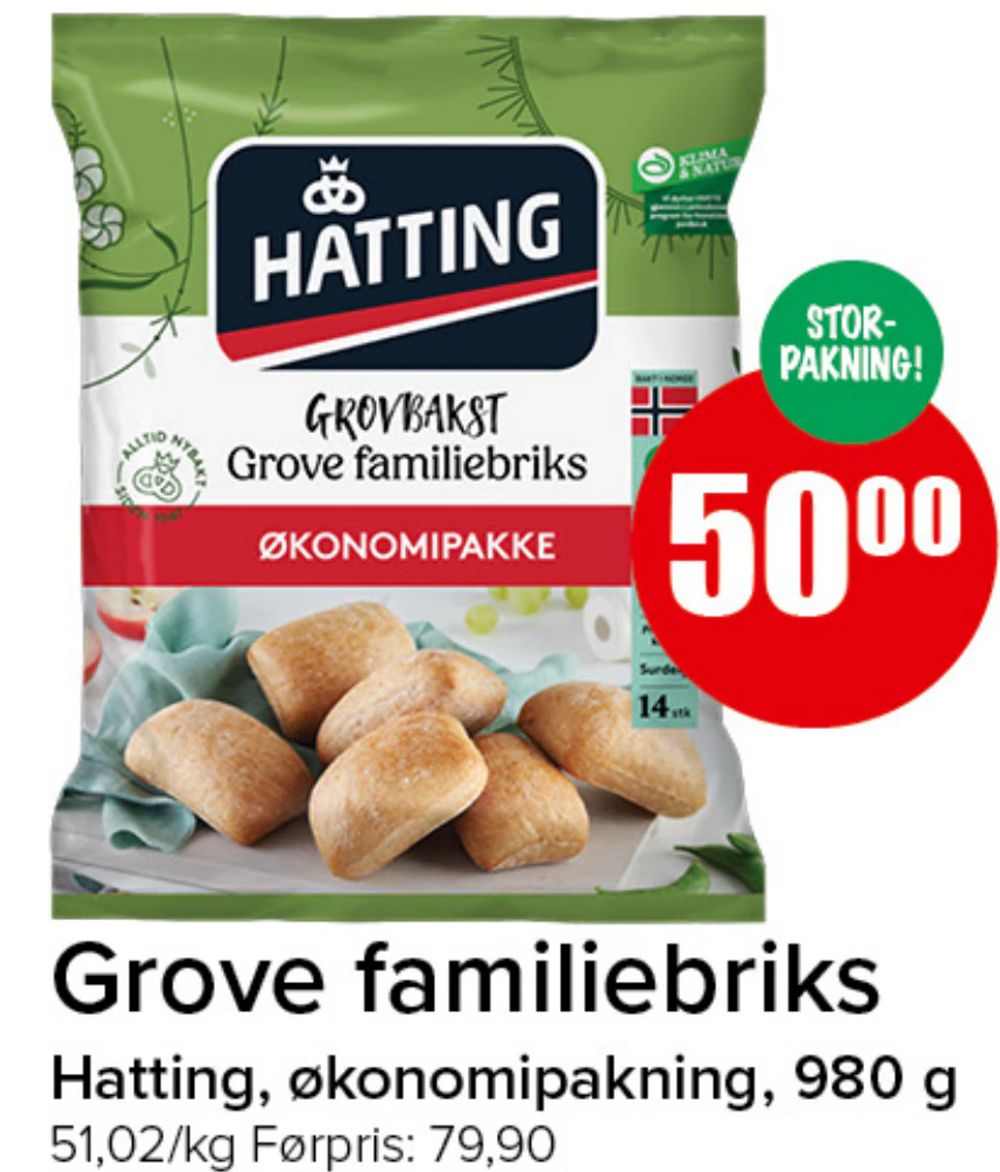 Grove familiebriks
