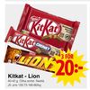 Kitkat - Lion
